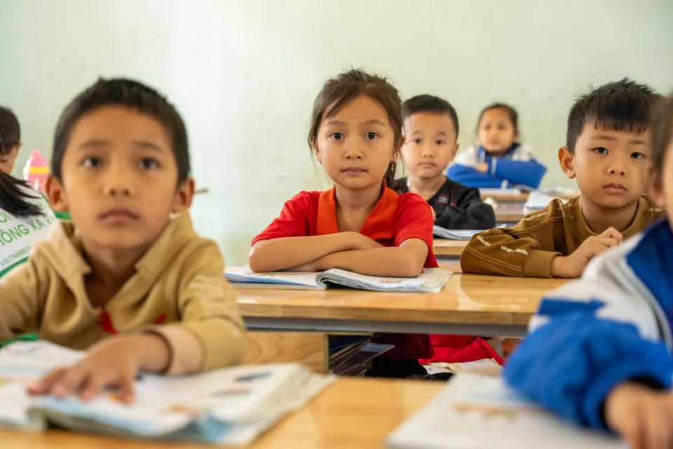 Khu vực học nhóm